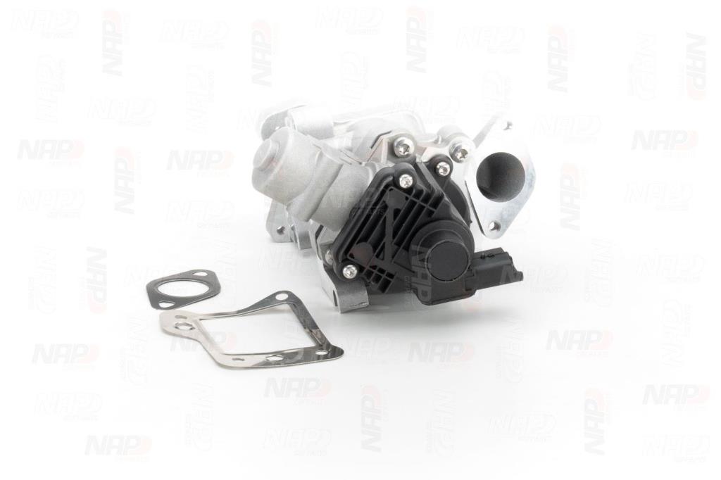 Válvula EGR NAP carPARTS ref. CAV10125