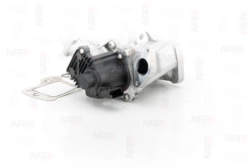Válvula EGR NAP carPARTS ref. CAV10125