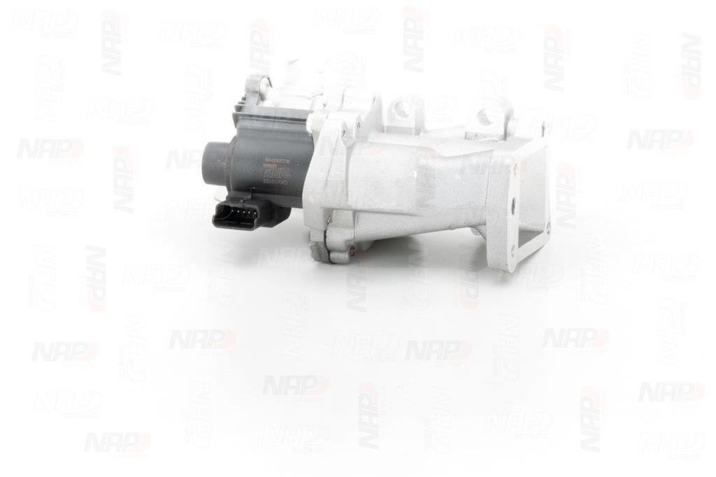 Válvula EGR NAP carPARTS ref. CAV10125