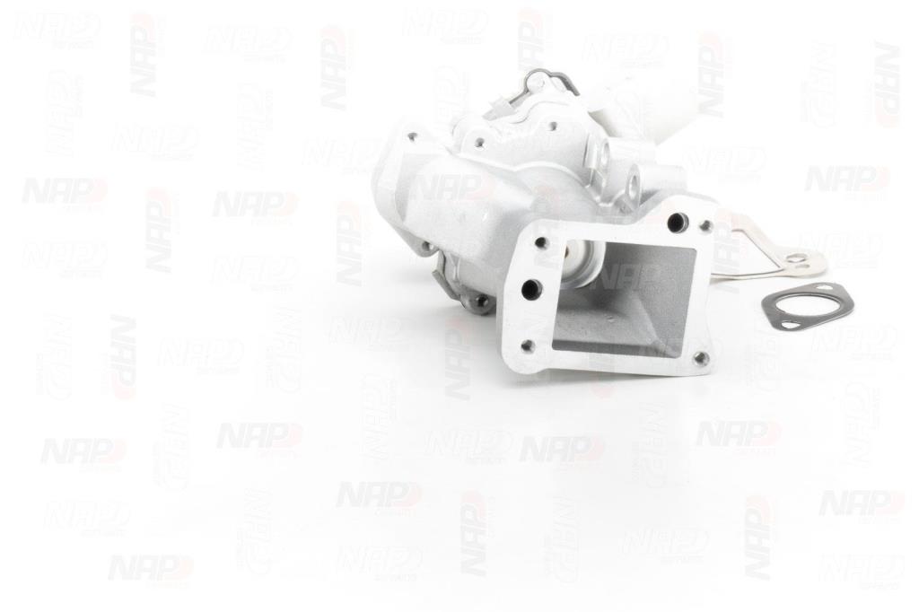 Válvula EGR NAP carPARTS ref. CAV10125