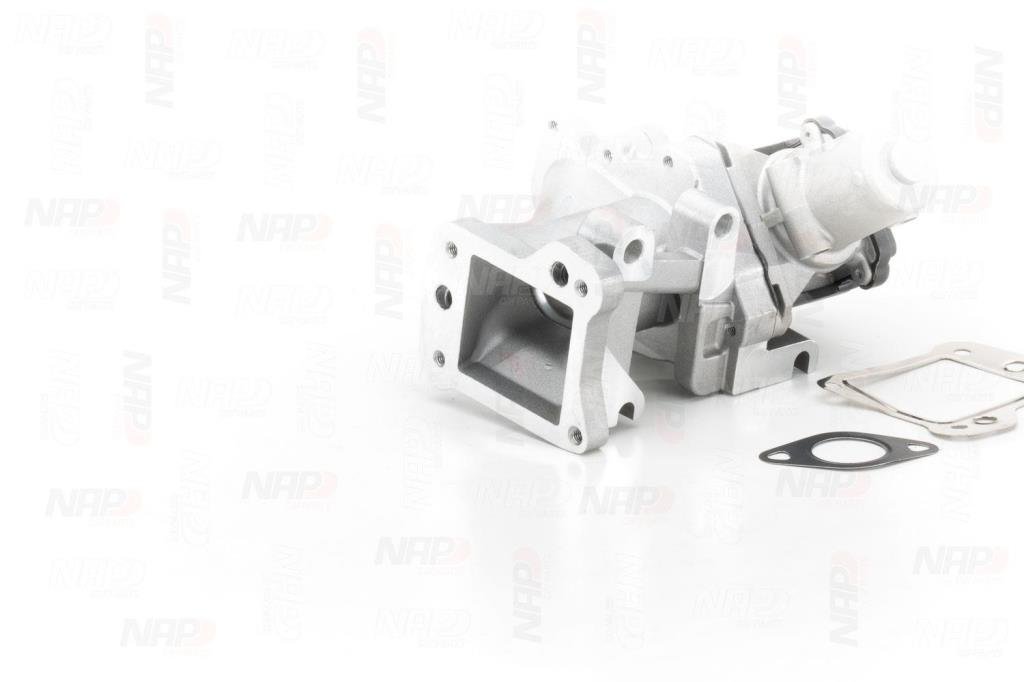 Válvula EGR NAP carPARTS ref. CAV10125