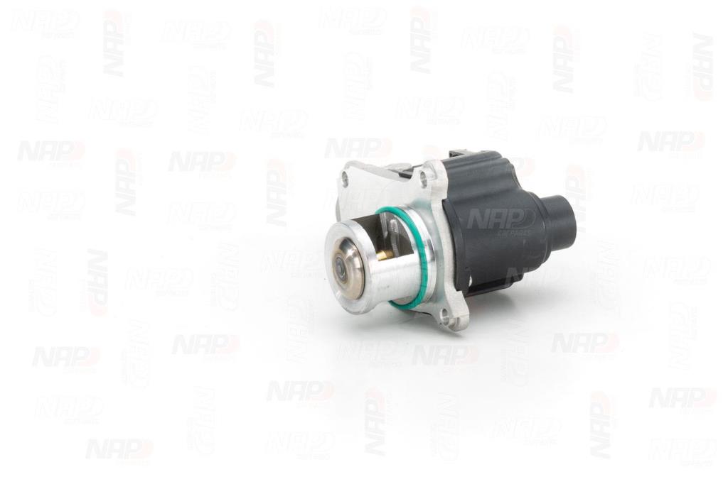 Válvula EGR NAP carPARTS ref. CAV10126