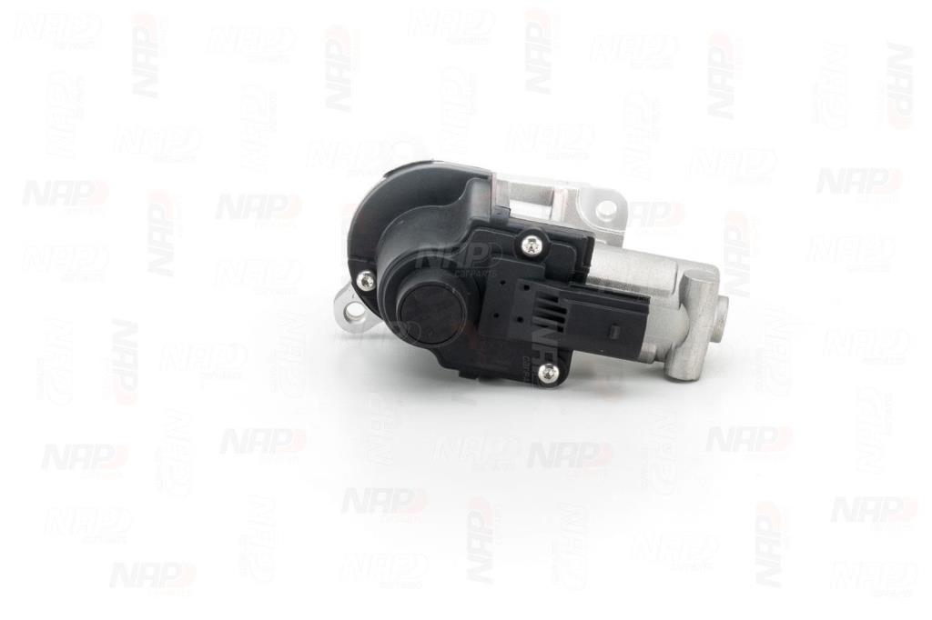 Válvula EGR NAP carPARTS ref. CAV10126
