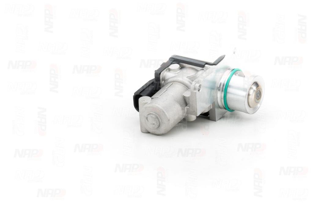 Válvula EGR NAP carPARTS ref. CAV10126
