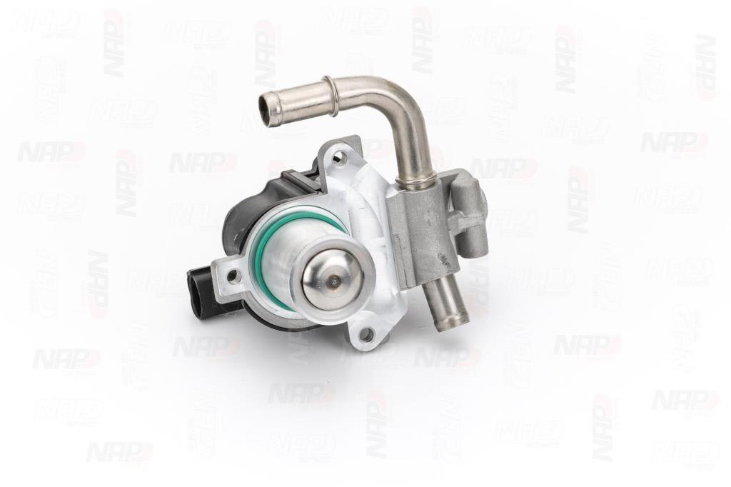 Válvula EGR NAP carPARTS ref. CAV10128