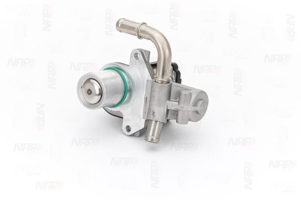 Válvula EGR NAP carPARTS ref. CAV10128