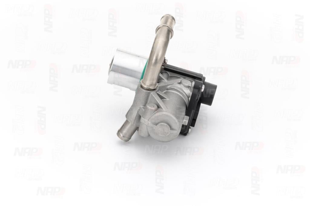 Válvula EGR NAP carPARTS ref. CAV10128