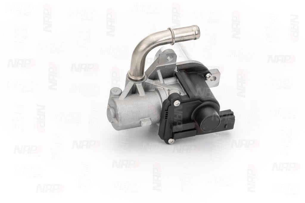 Válvula EGR NAP carPARTS ref. CAV10128