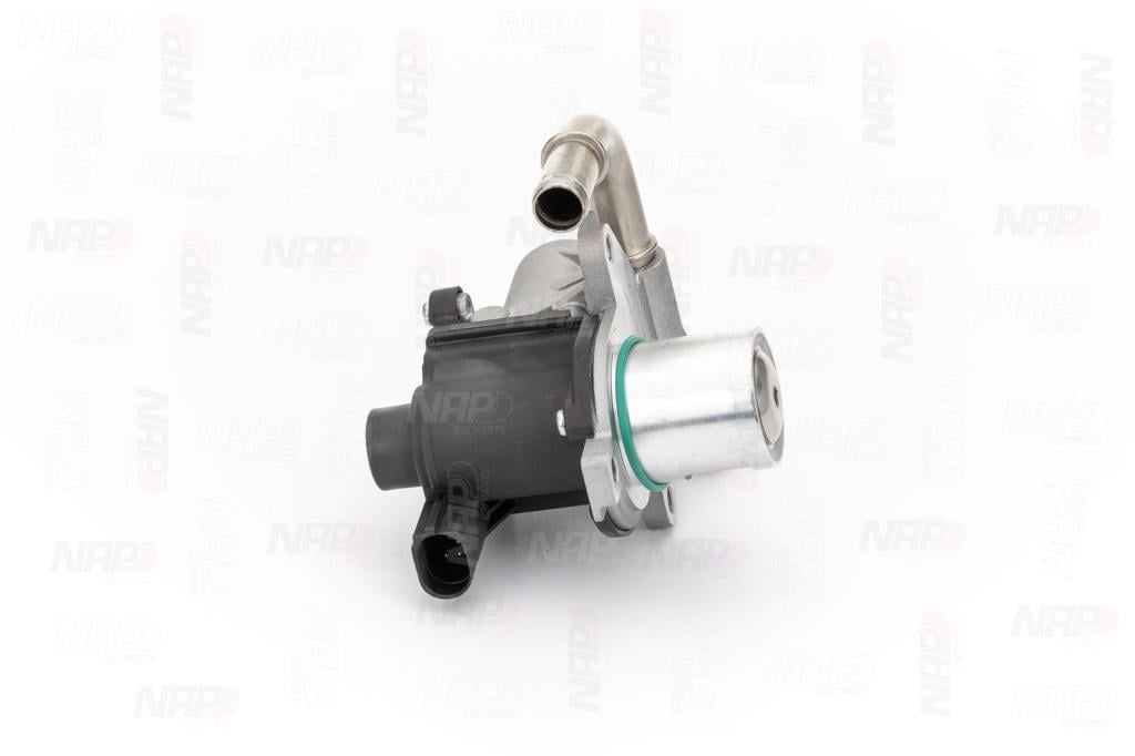 Válvula EGR NAP carPARTS ref. CAV10128