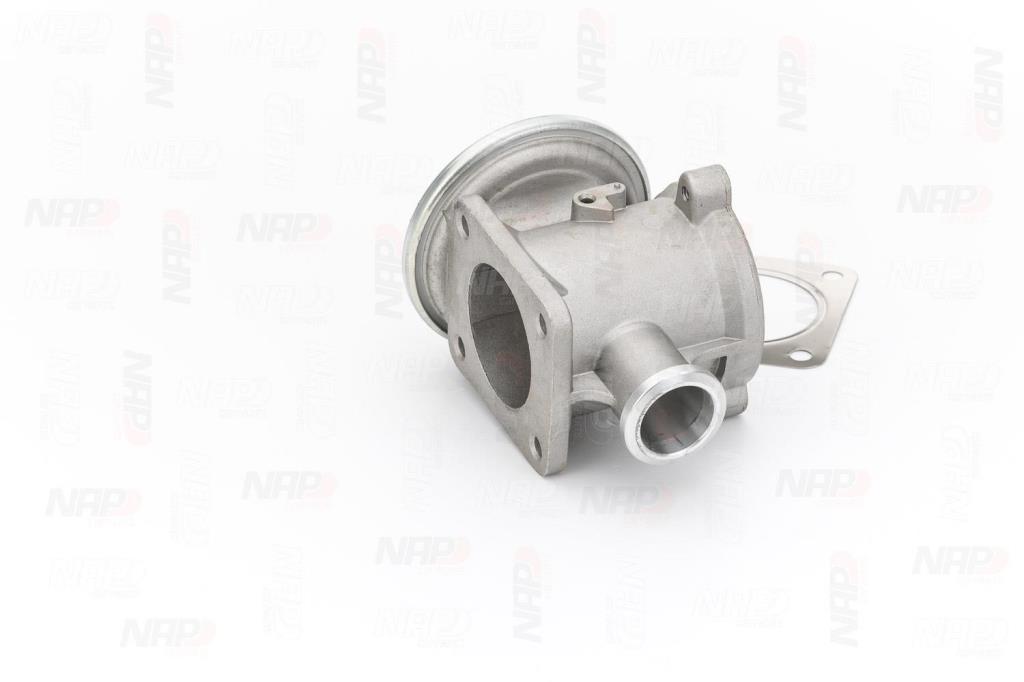 Válvula EGR NAP carPARTS ref. CAV10134
