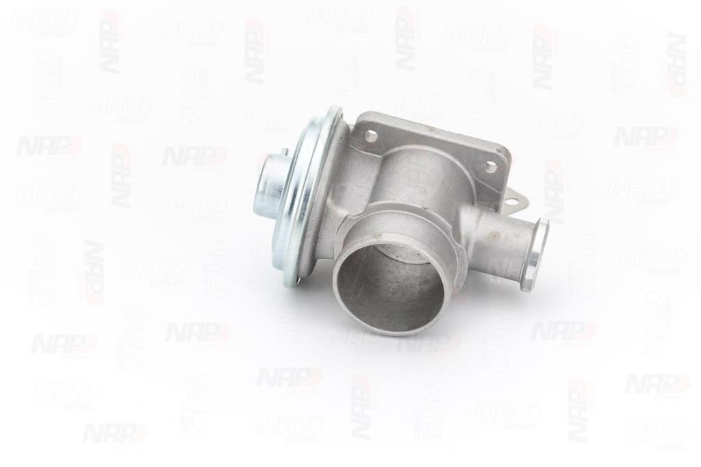 Válvula EGR NAP carPARTS ref. CAV10135
