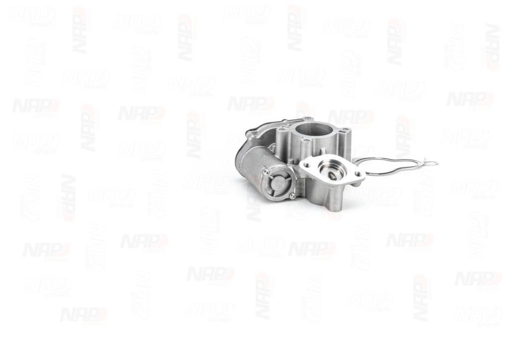 Válvula EGR NAP carPARTS ref. CAV10153