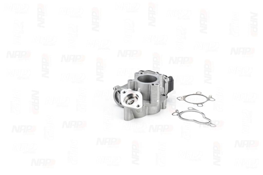 Válvula EGR NAP carPARTS ref. CAV10153