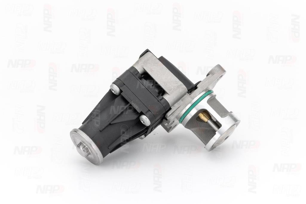 Válvula EGR NAP carPARTS ref. CAV10154