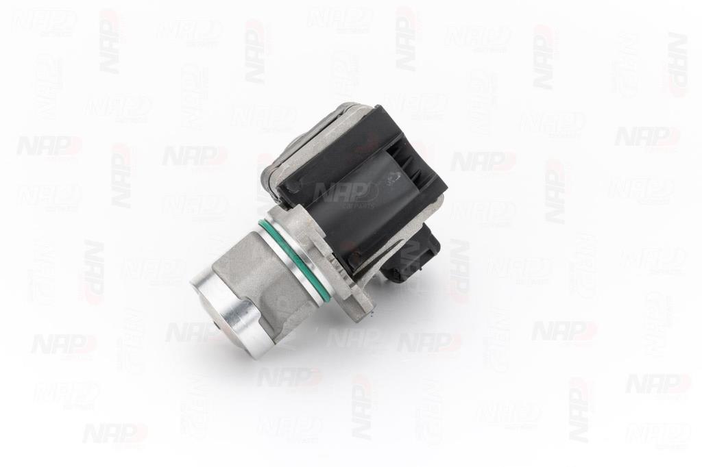 Válvula EGR NAP carPARTS ref. CAV10154