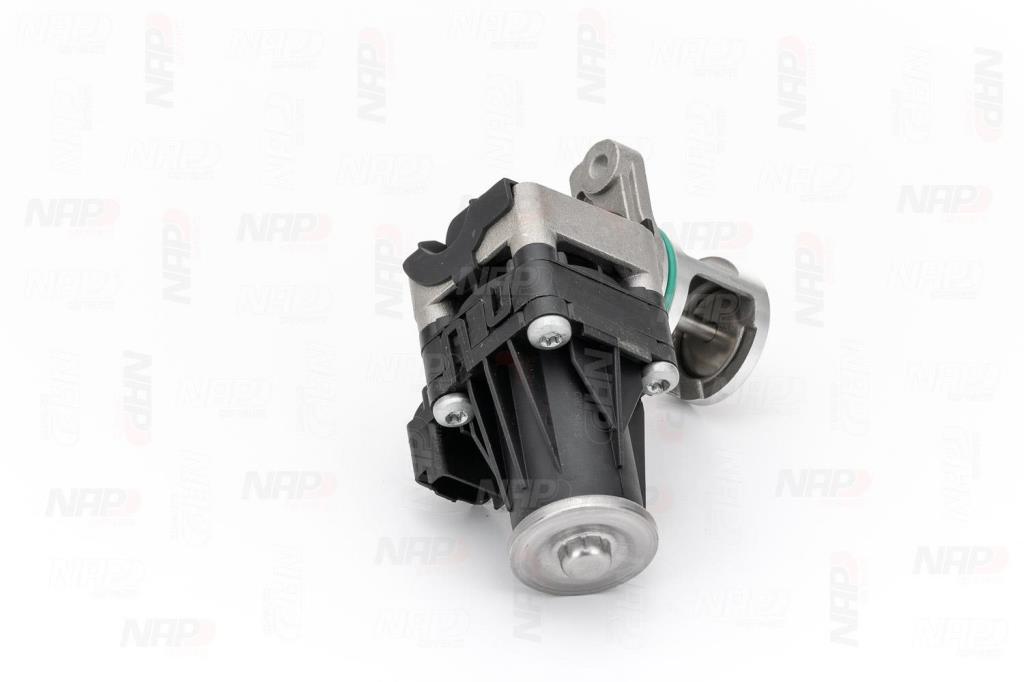 Válvula EGR NAP carPARTS ref. CAV10154