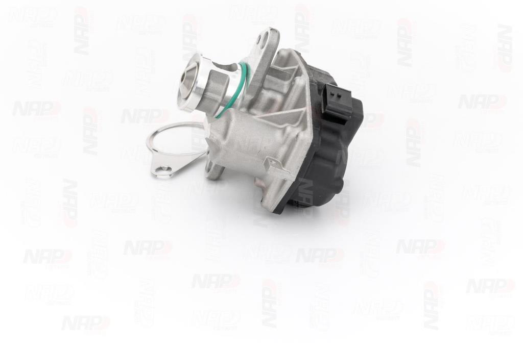 Vanne EGR NAP carPARTS ref. CAV10171