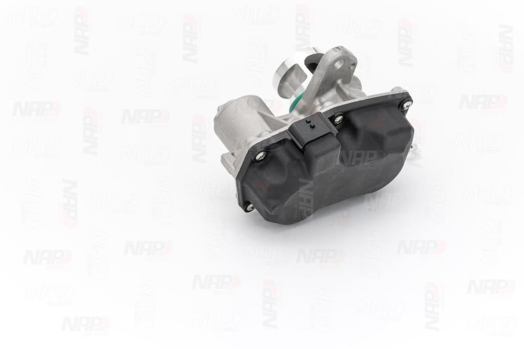 Vanne EGR NAP carPARTS ref. CAV10171