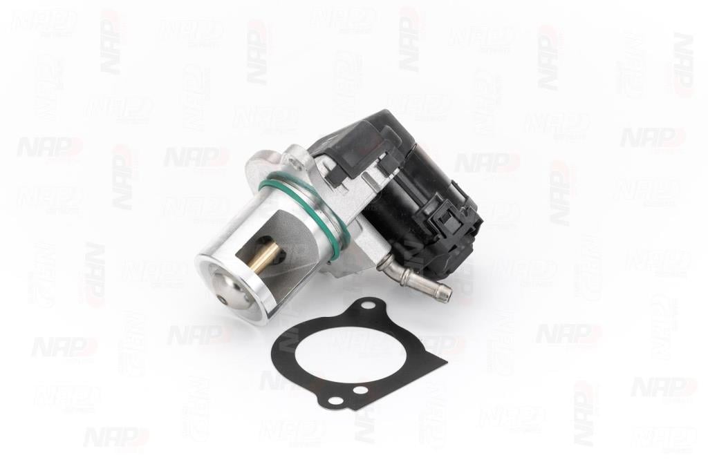 Vanne EGR NAP carPARTS CAV10173