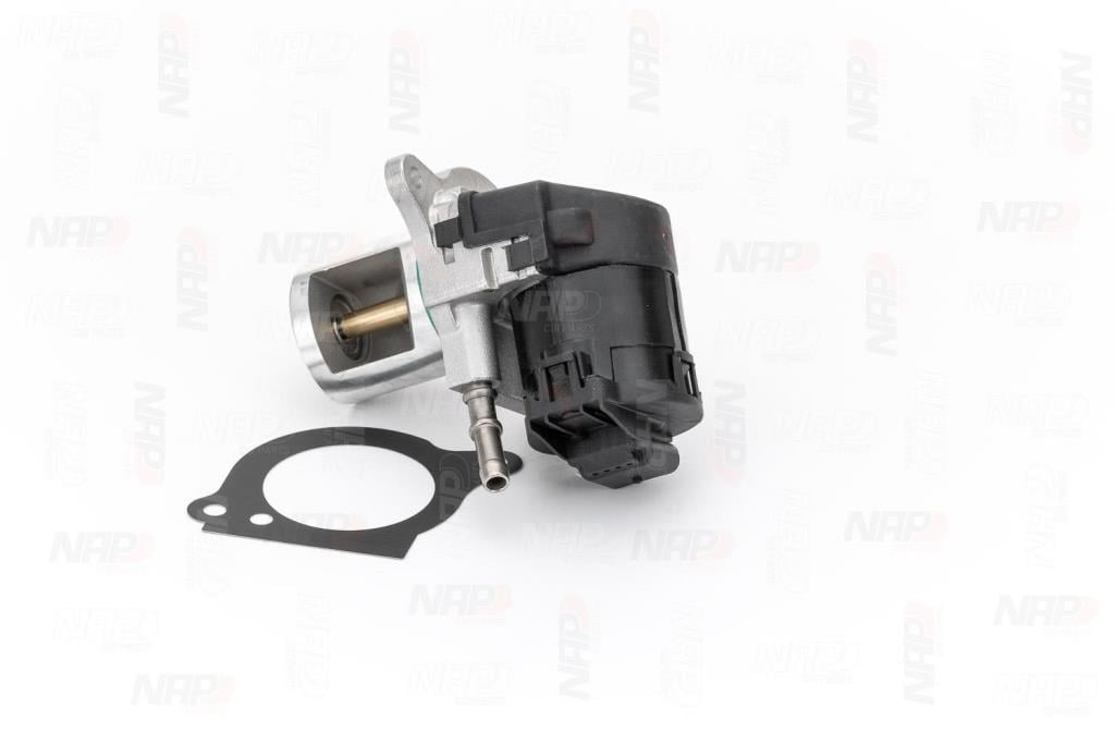 Vanne EGR NAP carPARTS CAV10173