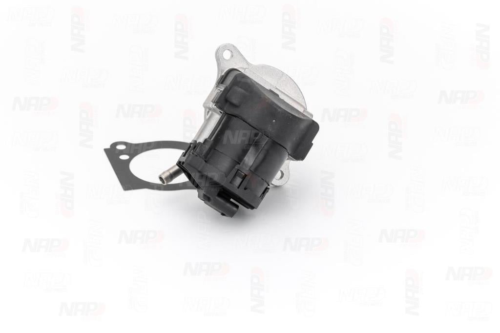 Vanne EGR NAP carPARTS CAV10173
