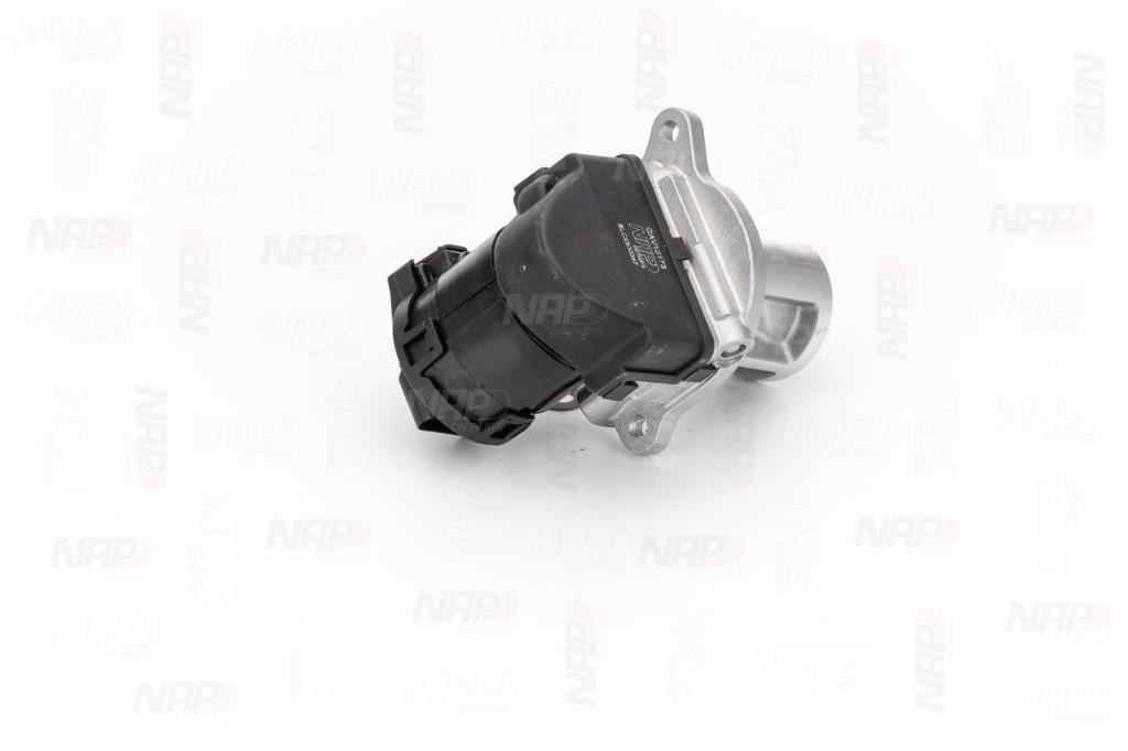Vanne EGR NAP carPARTS CAV10173