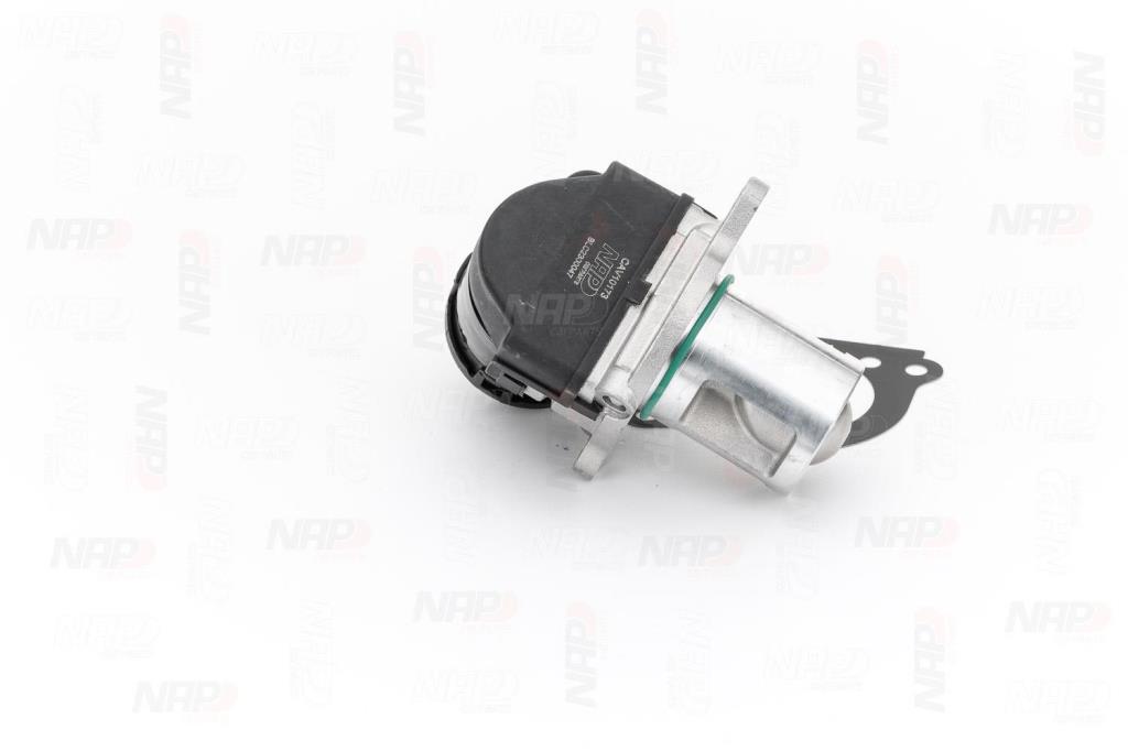 Vanne EGR NAP carPARTS CAV10173