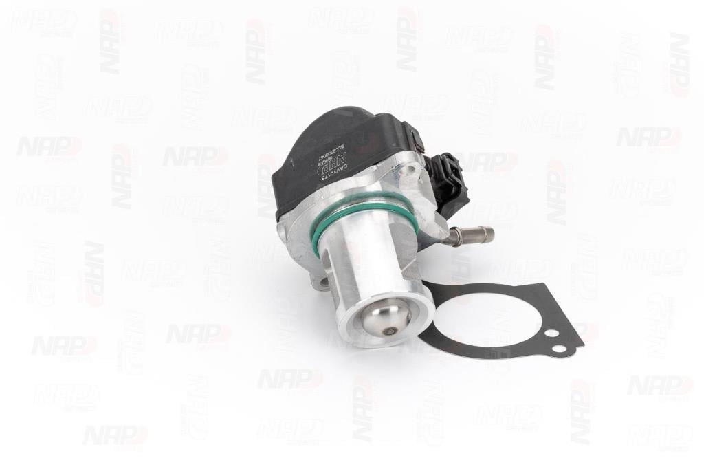 Vanne EGR NAP carPARTS CAV10173
