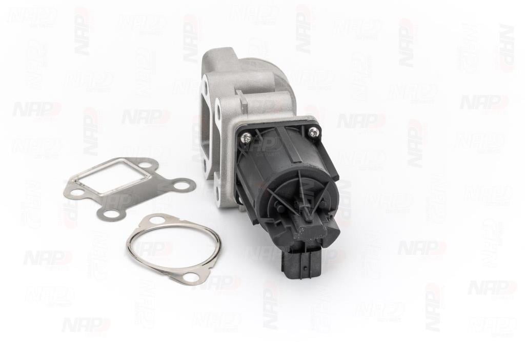 Válvula EGR NAP carPARTS ref. CAV10175