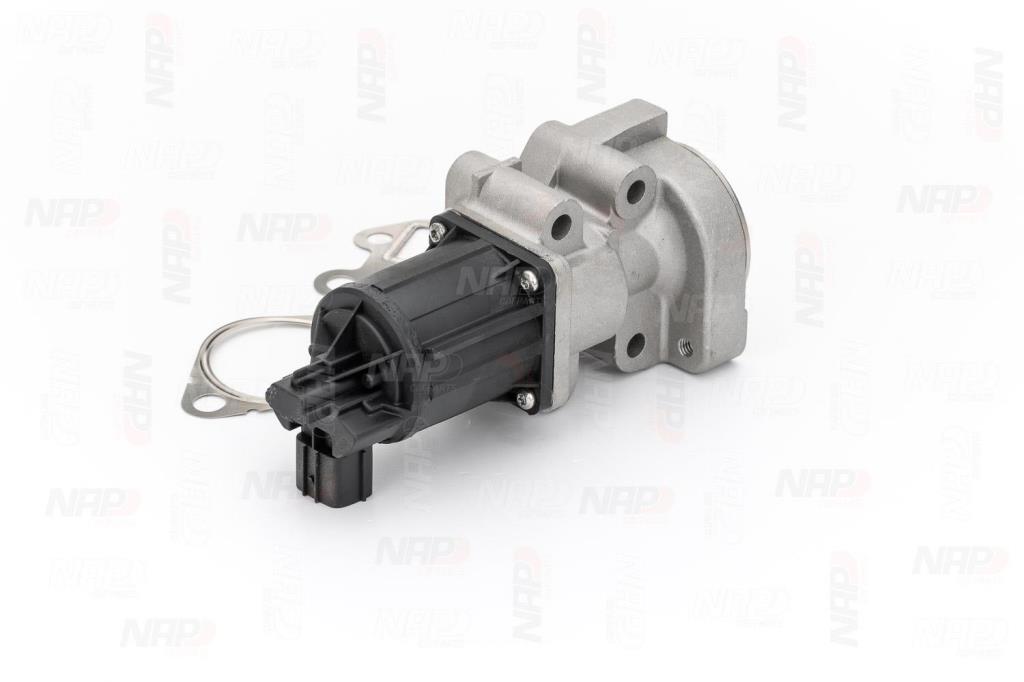 Válvula EGR NAP carPARTS ref. CAV10175