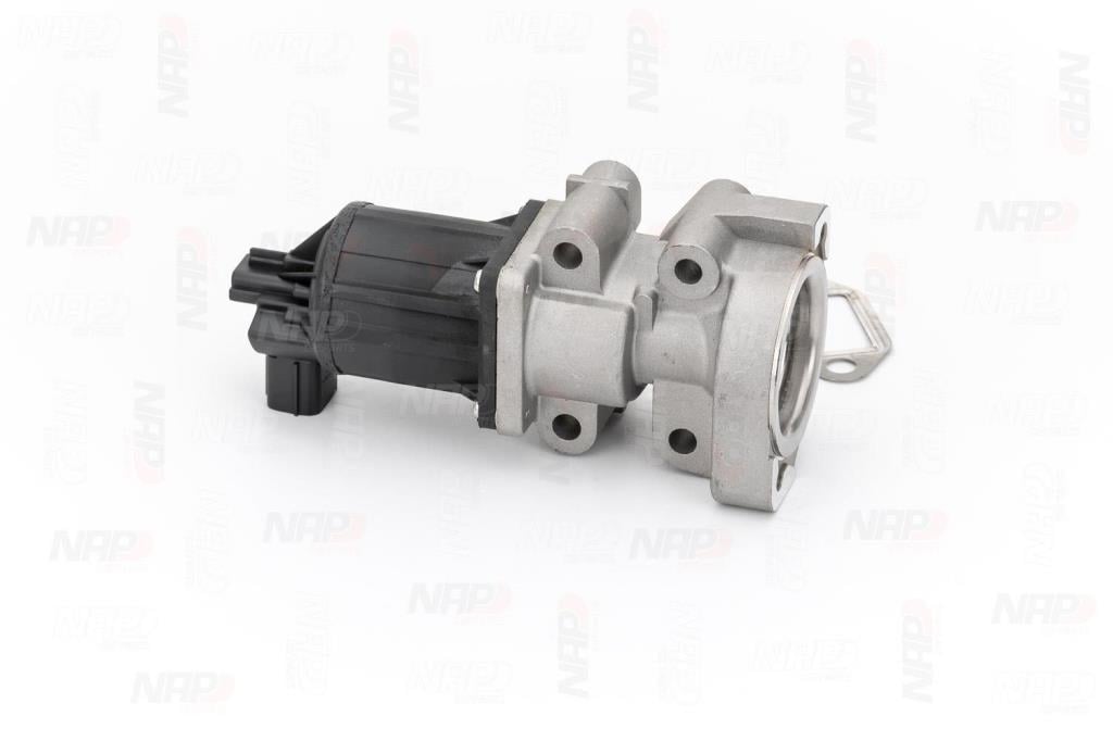 Válvula EGR NAP carPARTS ref. CAV10175