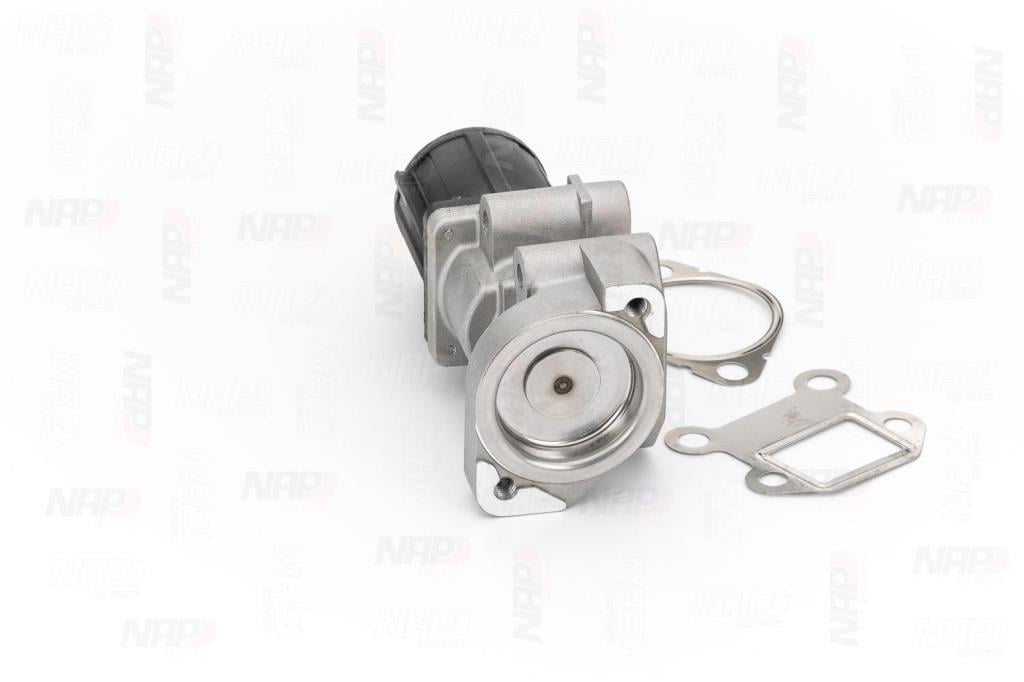 Válvula EGR NAP carPARTS ref. CAV10175