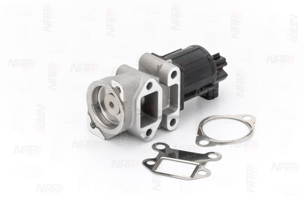 Válvula EGR NAP carPARTS ref. CAV10175