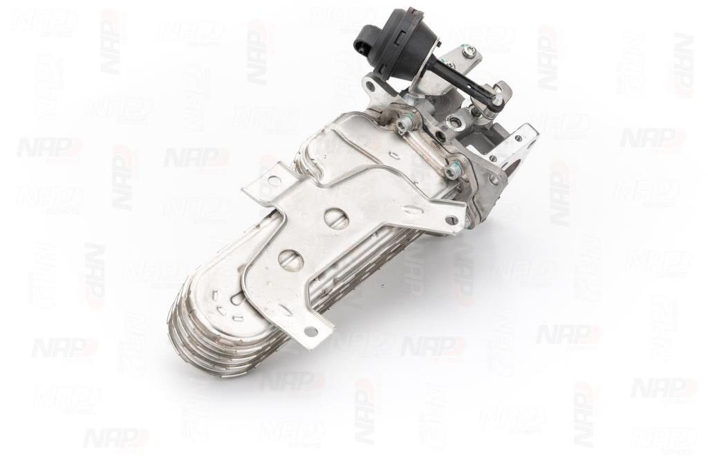 Vanne EGR NAP carPARTS ref. CAV10178