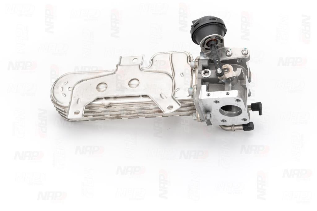 Vanne EGR NAP carPARTS ref. CAV10178