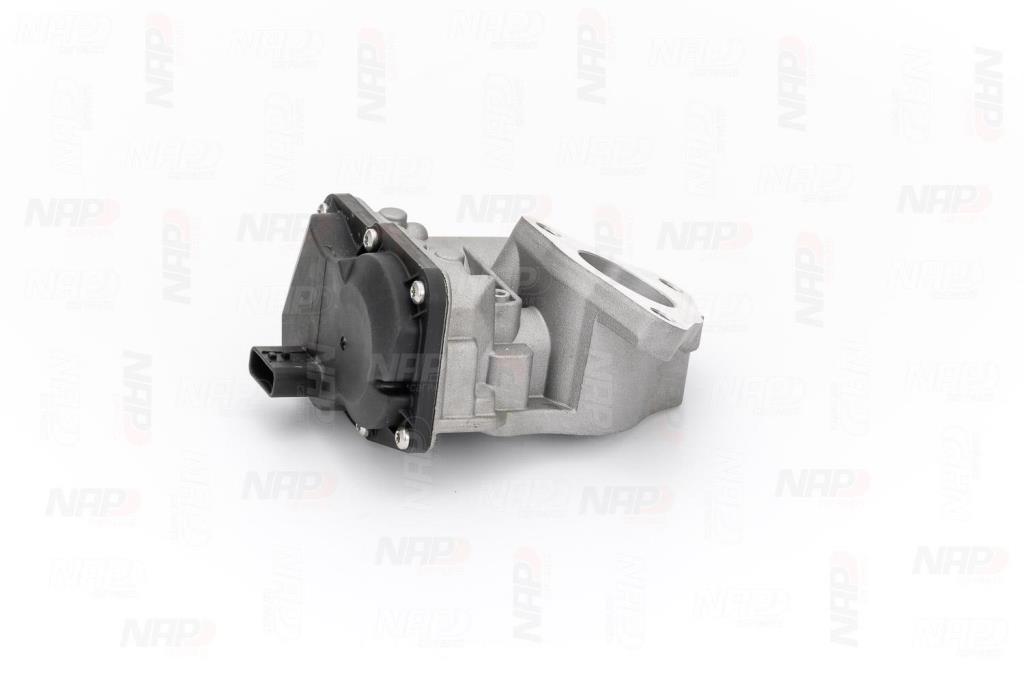 Vanne EGR NAP carPARTS ref. CAV10179