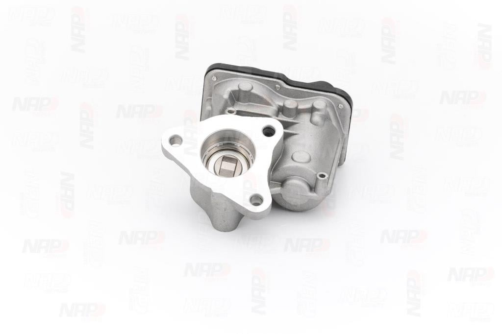 Vanne EGR NAP carPARTS ref. CAV10179