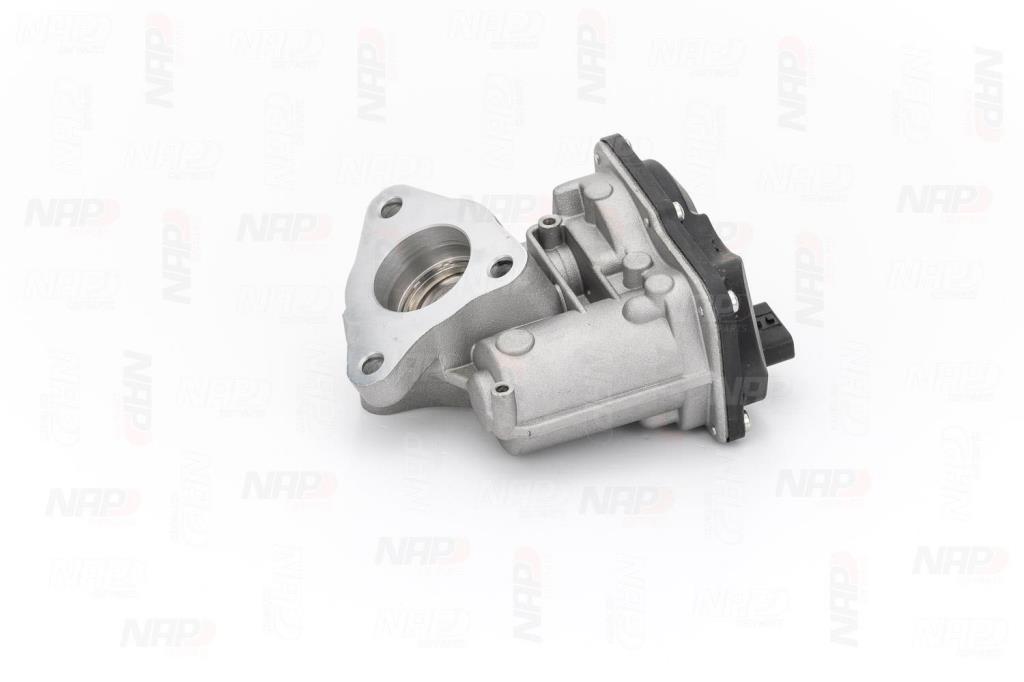Vanne EGR NAP carPARTS ref. CAV10179