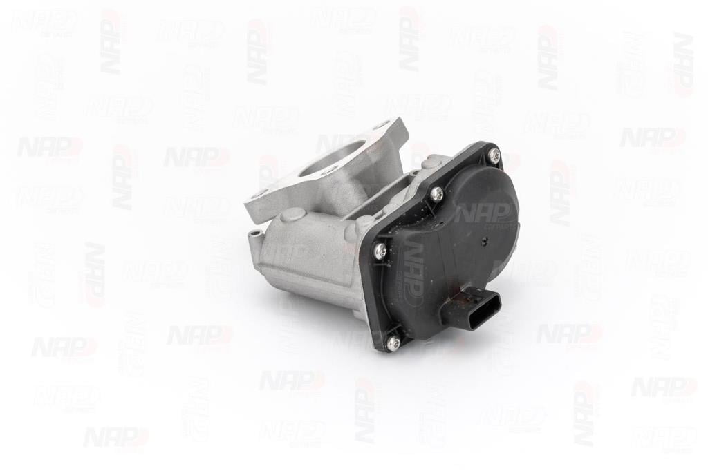Vanne EGR NAP carPARTS ref. CAV10179