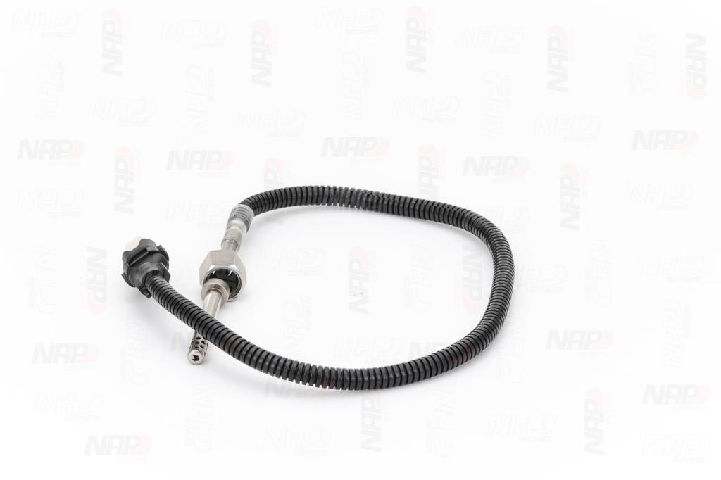 Palpeur, température des gaz NAP carPARTS CTS10094