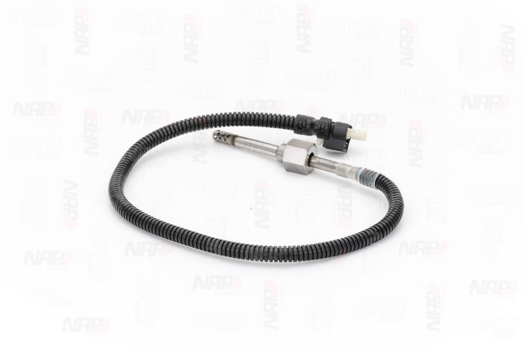 Palpeur, température des gaz NAP carPARTS CTS10094