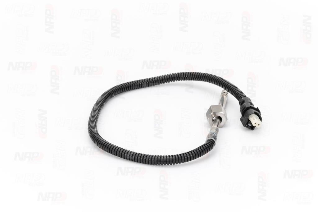 Palpeur, température des gaz NAP carPARTS CTS10094