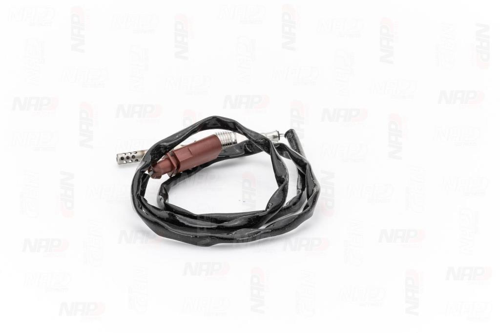 Palpeur, température des gaz NAP carPARTS CTS10119