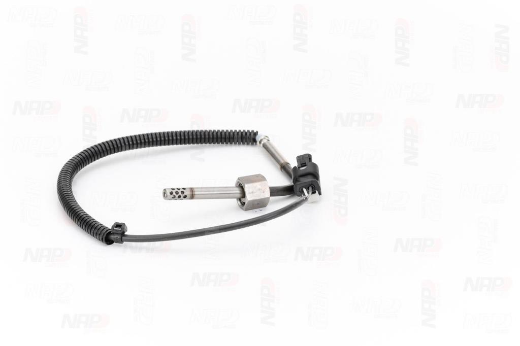 Palpeur, température des gaz NAP carPARTS CTS10140