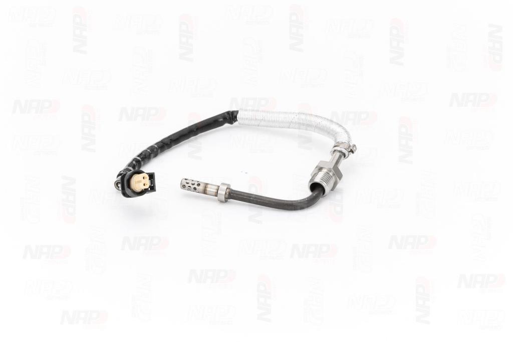 Palpeur, température des gaz NAP carPARTS CTS10160