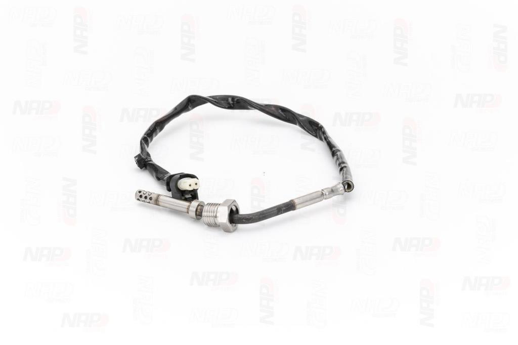 Palpeur, température des gaz NAP carPARTS CTS10161