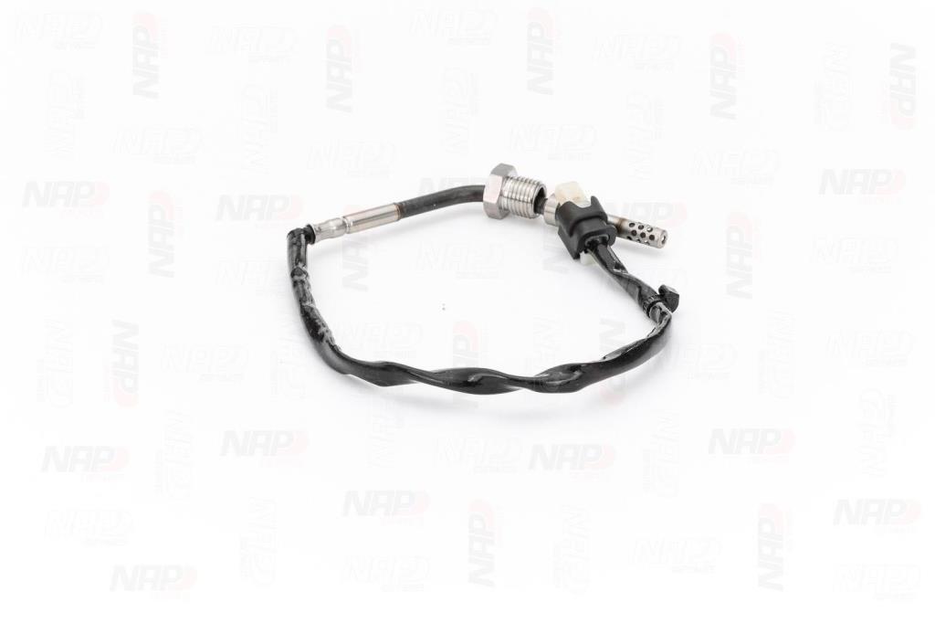 Palpeur, température des gaz NAP carPARTS CTS10161