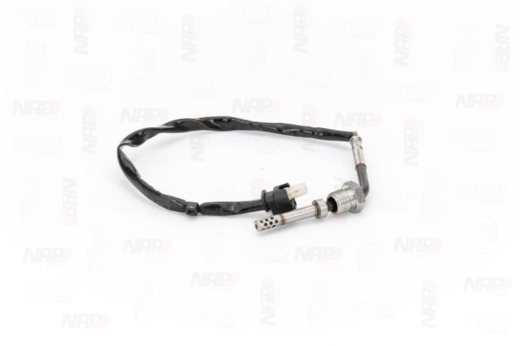 Palpeur, température des gaz NAP carPARTS CTS10161