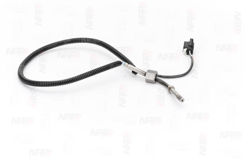 Palpeur, température des gaz NAP carPARTS CTS10174