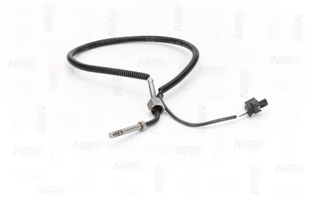 Palpeur, température des gaz NAP carPARTS CTS10174